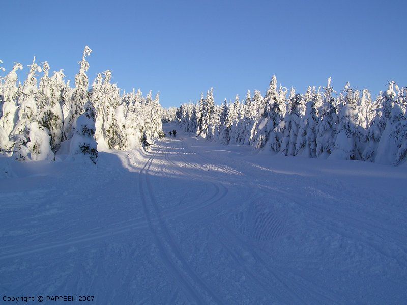 SKI AREL PAPRSEK U STARHO MSTA POD SN̎NKEM