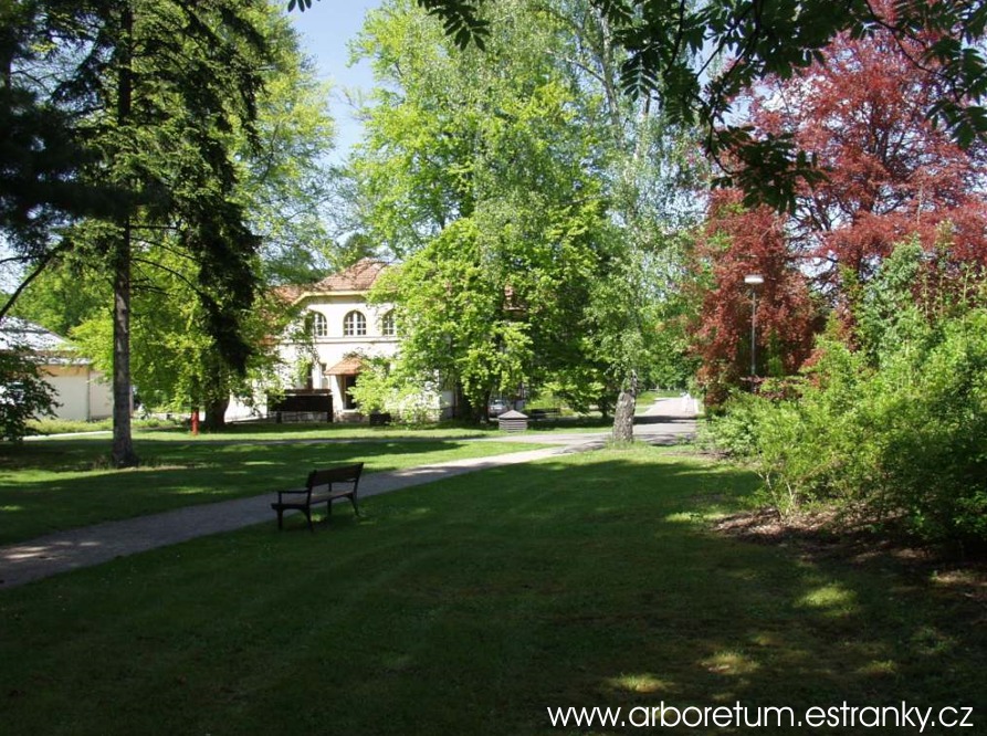 HAMZV PARK A ARBORETUM LUE - KOUMBERK