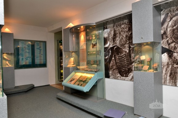MUZEUM DR. BOHUSLAVA HORKA ROKYCANY